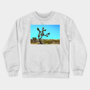 Joshua Tree National Park, California Crewneck Sweatshirt